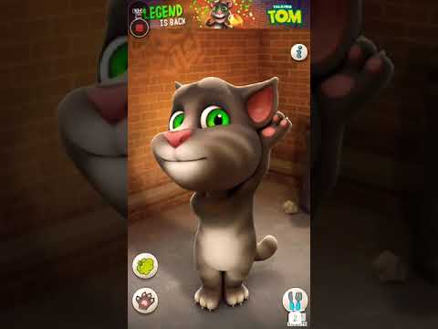 Tom Kaa Bom Dige Dige Bom Bom