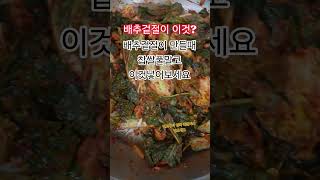 배추겉절이 만들때 찹쌀풀말고 이것넣어보세요 #레시피 #배추겉절이