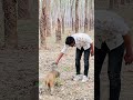 How is the man feeding the monkey water🤣🥹 #funny #youtubeshorts #shorts