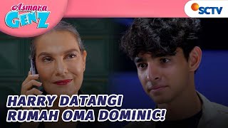 Harry Akan Selesaikan Urusannya Dengan Oma Dominic! | Asmara Gen Z - Episode 369