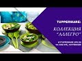 Новая коллекция "Аллегро" Tupperware