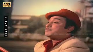 நான் தன்னந்தனி காட்டு ராஜா பாடல் | naan thannanthani kattu raja song | Sivaji old song .