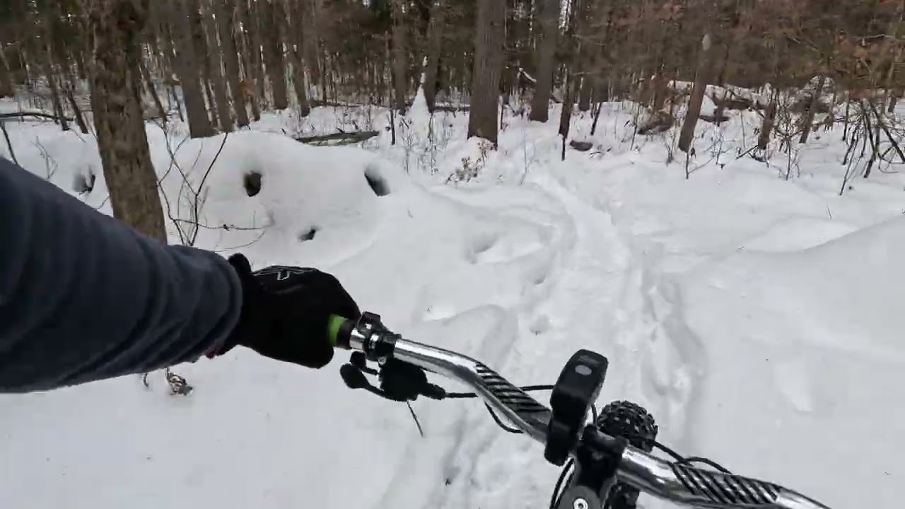 Yudicky Farm Mountain Biking Trails near Nashua, NH fatbiking