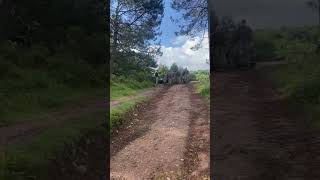 Royal Marines Endurance Course