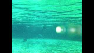 Carl's Project -Mia ( Chill out guitar instrumental 2011) screenshot 5