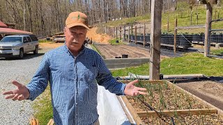 Frost Free Hoop House #growyourownfood #electroculture #gardening