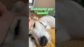 Why does the pre-launch phase matter in Kickstarter campaigns? #kickstarter #kickstarterbooks #dog