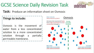 GCSE Science Daily Revision Task 8:  Osmosis