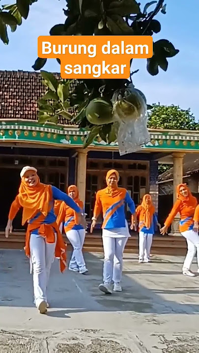 Burung dalam sangkar #senamkreasi