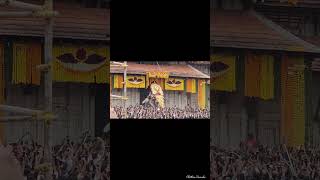 പൂരം🐘...#vadakkumnadhan #temple #traditional #music #bhakti #youtubeshorts #ytshorts #shortvideo