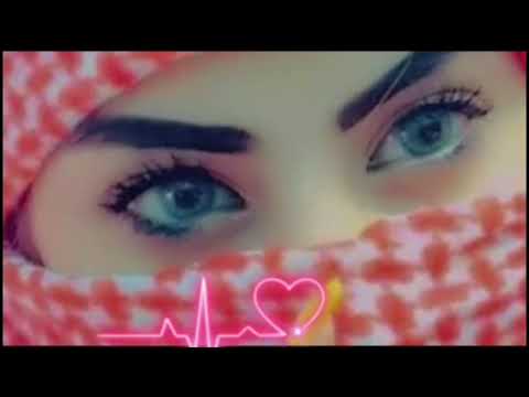 laila new 2023