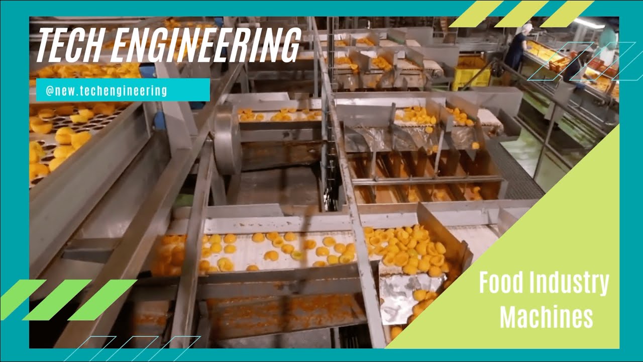Food Industry Machines That Are On another level YouTube