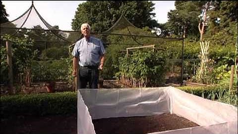 Harrod Anti Carrotfly Screen