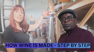 Discover the Secret Behind These Vineyards!
