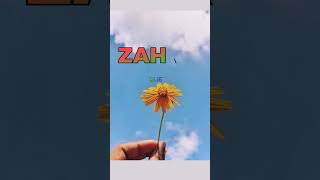 Zahra Name Status For Whatsapp,Birthdaystatus,Tiktok,