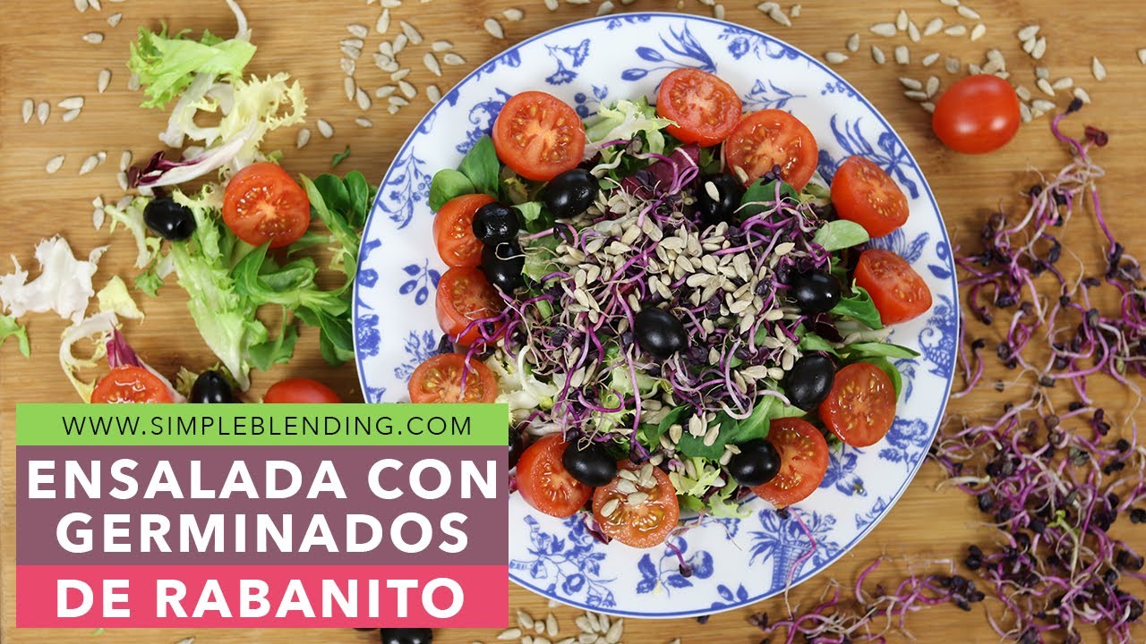 ENSALADA CON GERMINADOS DE RABANITOS | Receta de ensalada con germinados |  Ensalada con rabanitos - YouTube