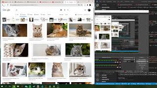 Web Programming - Week 0 - Search