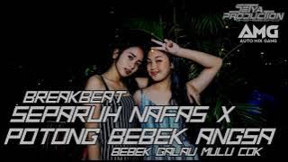 DJ BREAKBEAT SEPARUH NAFAS - DEWA 19 VS POTONG BEBEK ANGSA #PRIVATE 2023 [SetyaRMX]