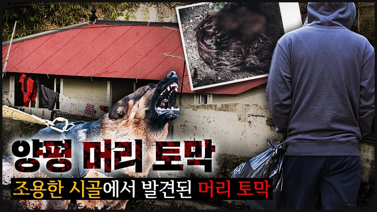 [양평 머리] 평화롭던 시골 마을에 