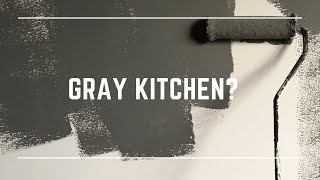 Modern Gray Kitchen Cabinets