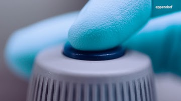 Eppendorf - LabTeamet - Microinjection into adherent cells – Eppendorf InjectMan® 4 and FemtoJet® 4i