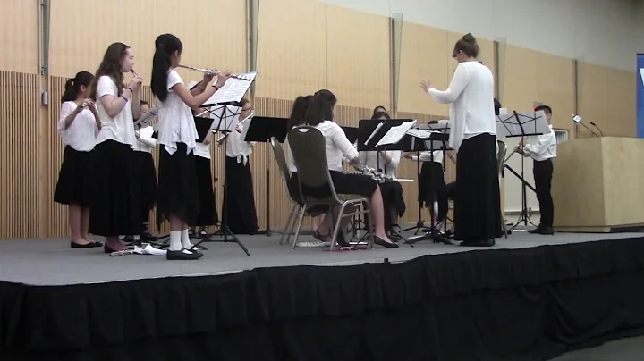 Samson et Dalila: Bacchanale for Beatbox flute cho...