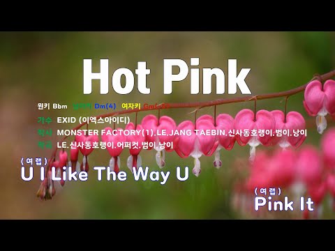 [은성 반주기] Hot Pink - EXID (이엑스아이디)