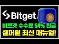 비트겟 셀퍼럴ㅣ셀퍼럴 계정 전환 시 필수 체크! 비트겟 수수료 54% 페이백 (페이백율 54%)