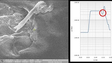 Charge Compensation inside an SEM using the GIS-EM
