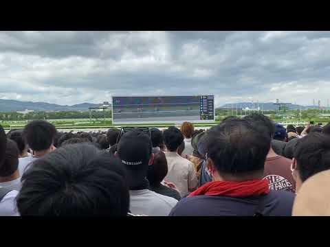 宝塚記念 現地映像