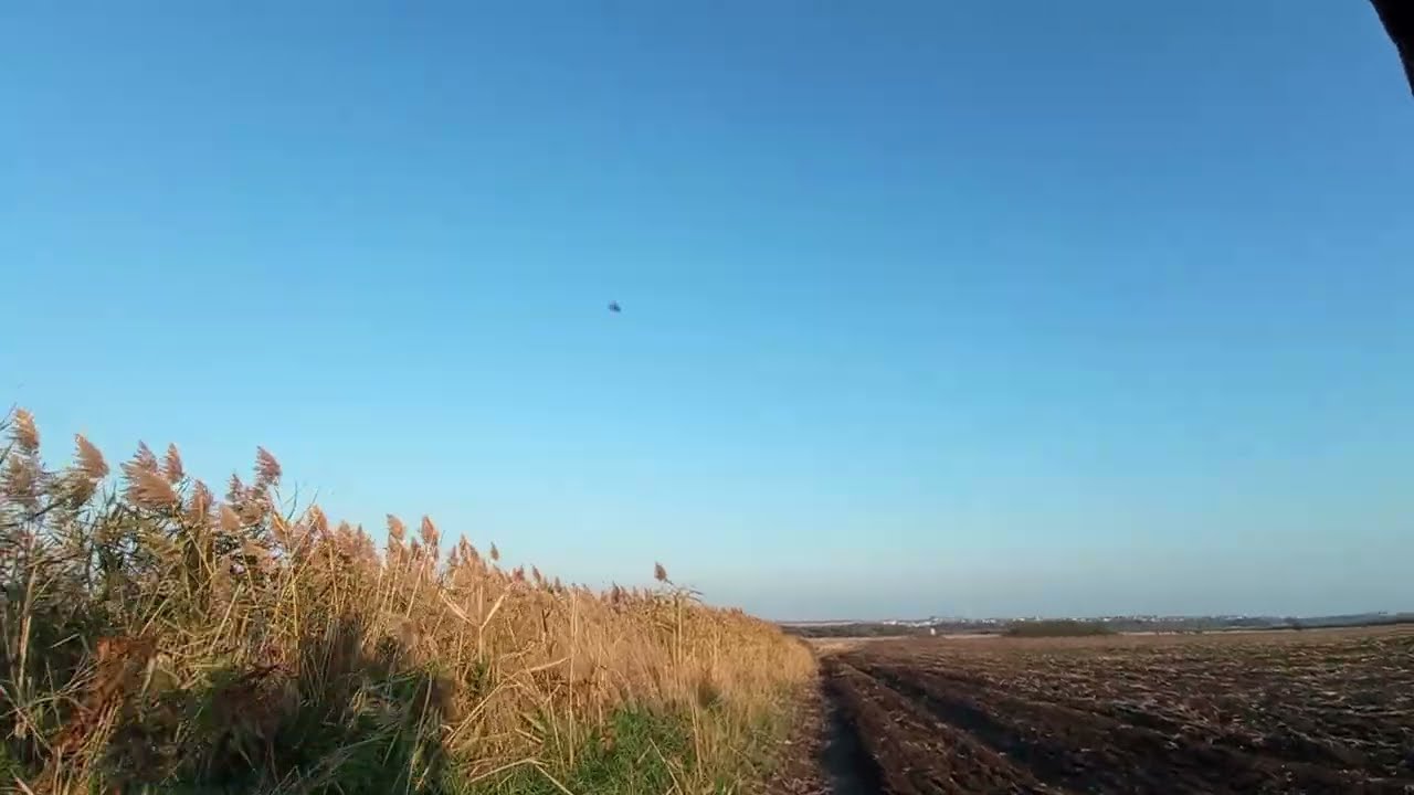 23.10.2025 Bulgaria — About Ten Kilometers to the Black Sea