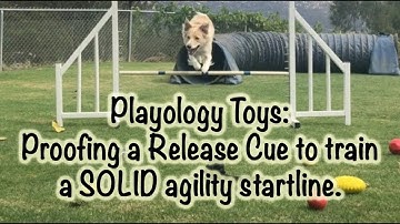 Playology Toys: Dog Agility Training  - Proofing a Release Cue for a Solid Start Line Stay