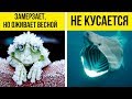 9 СЕКРЕТОВ о ЖИВОТНЫХ, о Которых НЕ РАССКАЗЫВАЛИ На Уроках БИОЛОГИИ!