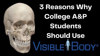 3 Reasons College A&P Students Should Use Visible Body