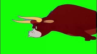 Бык Бежит Футаж (Она Будет Догонять)