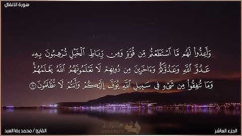 ما تيسر من سورة الأنفال - القارئ محمد رضا العبد
