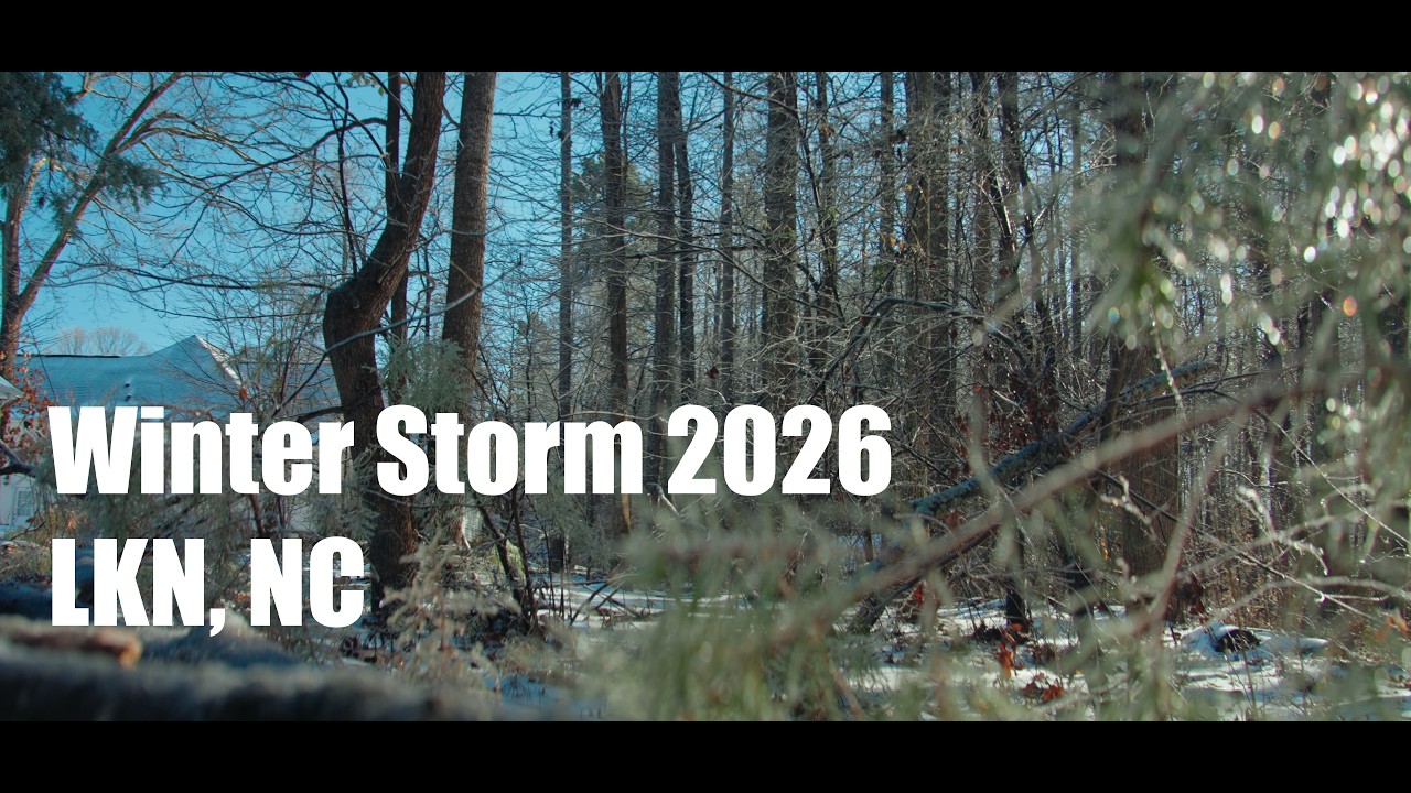 SONY A7IV | SIRUI 20mm T1.8 ANAMORPHIC