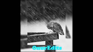 Hidra - Nabız Feat. Şehinşah - Lyri̇cs Edi̇t