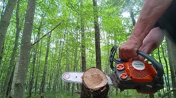 Echo 2511tn vs Joncutter G2511