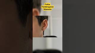 Fakta Pendengaran Mia