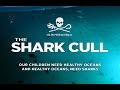 The Shark Cull