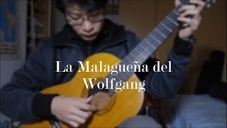 La Malagueña del Wolfgang (classical guitar arr. W.E.Hsu)