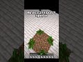 Minecraft Don't Spill It