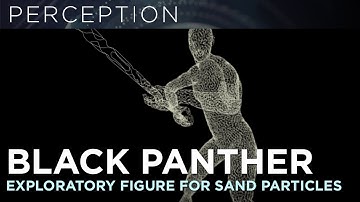 BLACK PANTHER VIBRANIUM SILHOUETTE TEST