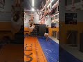 One Day Or Day One Calisthenics Gym Gymlife Ninja Reels Gymnast Sports Trampoline נינגה mp3