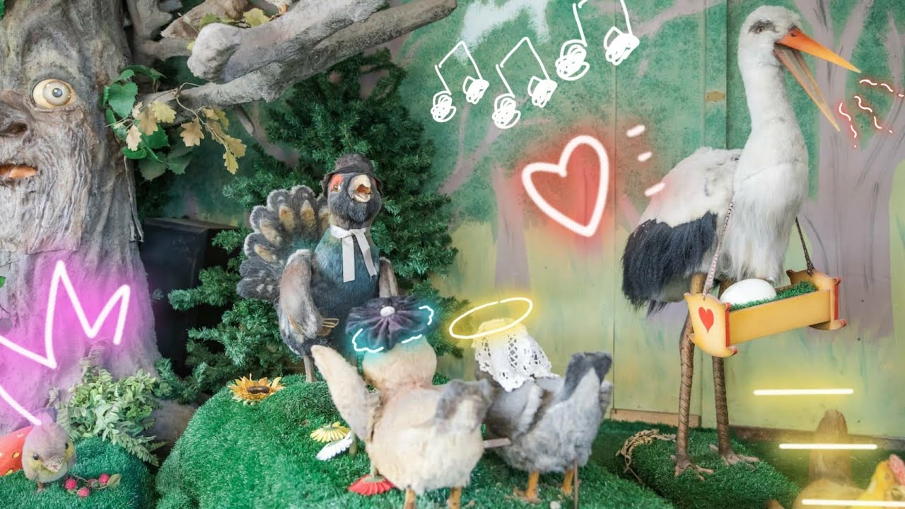 Die Vogelhochzeit im Freizeitpark Schloss Beck - Kinderlieder zum Mitsingen | Nursery Rhymes