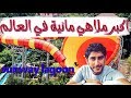 اضخم مدينة العاب مائية في العالم 2018 sunway lagoon