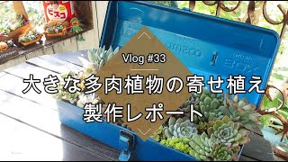 【Vlog#33】大きな多肉植物の寄せ植え製作レポート【工具箱寄せ】