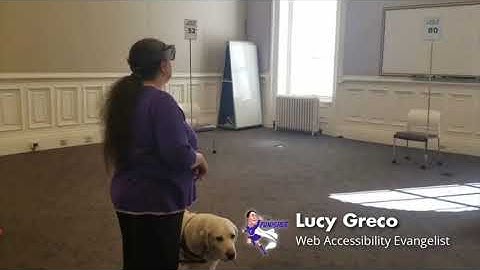 AR for VIPs: Eyes for the Blind