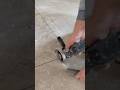 Werbung #handwork #diy #fliesen #tiles #tile #work #viral #baustelle #handwerk #fyp